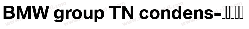BMW group TN condens字体转换